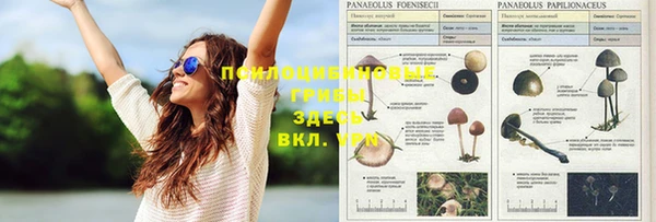 винт Абинск
