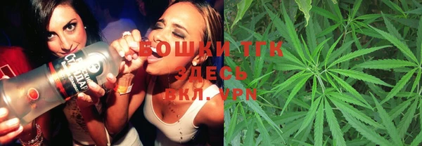 прущие грибы Алексеевка