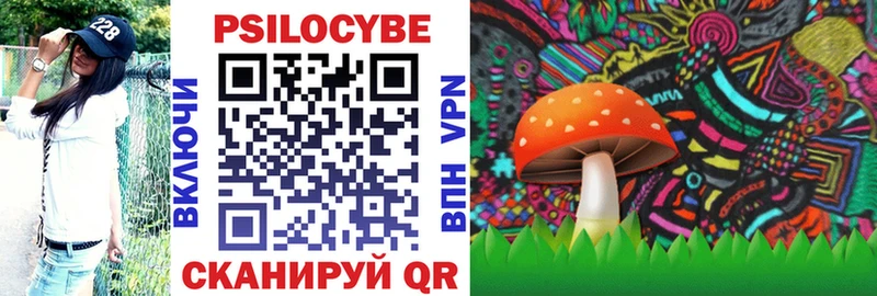 Галлюциногенные грибы Cubensis  darknet наркотические препараты  Юрга 